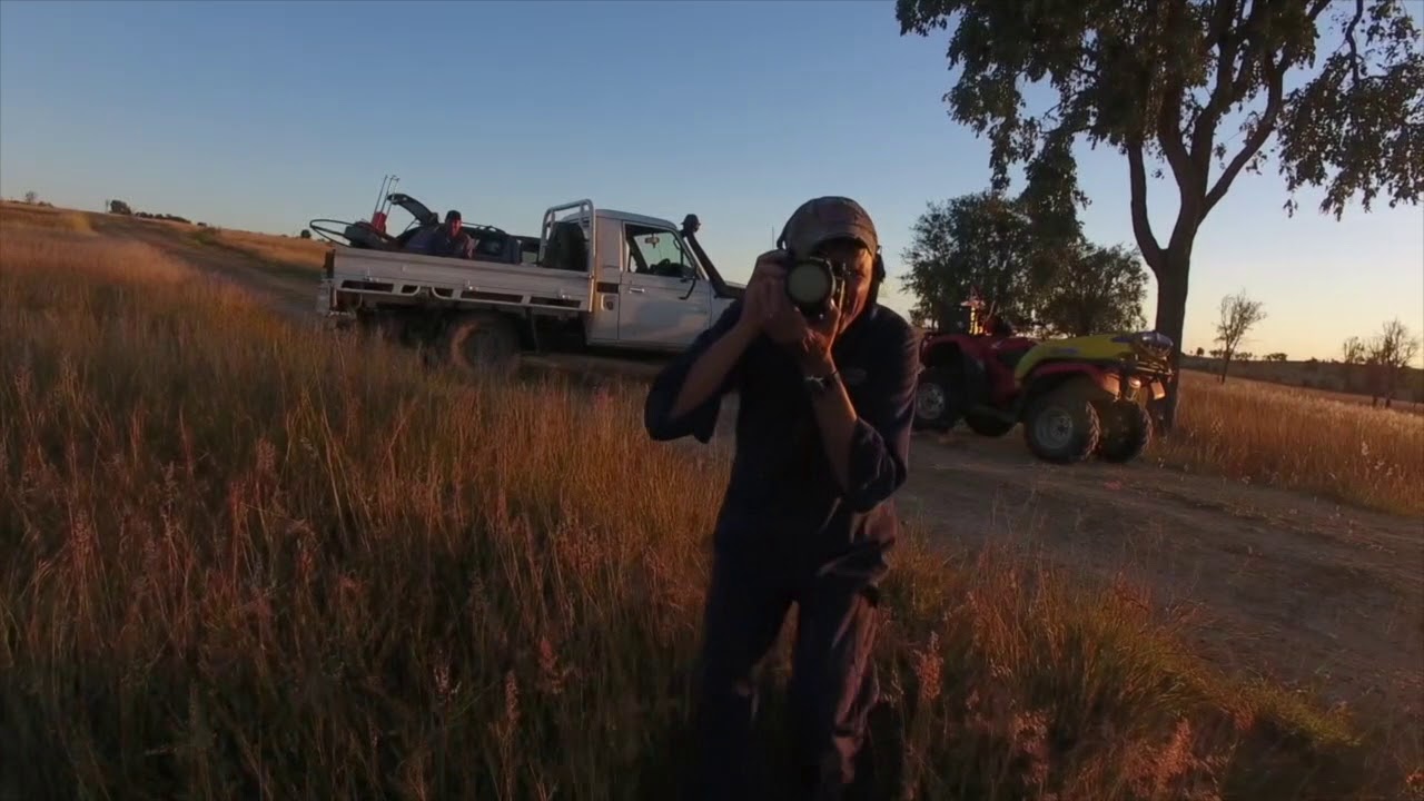 Taroom 2016