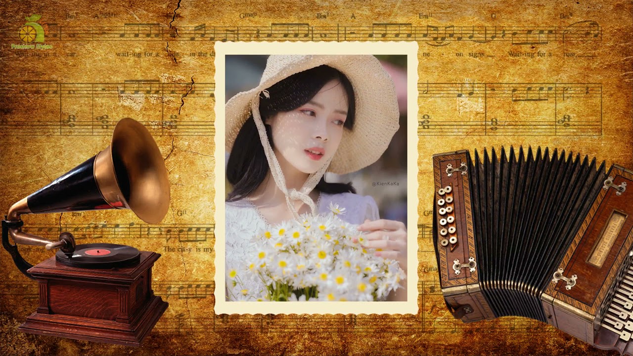 🍃Style Proshow Producer 50 đẹp mới nhất phong cách VINTAGE | Lemon Proshow Style!