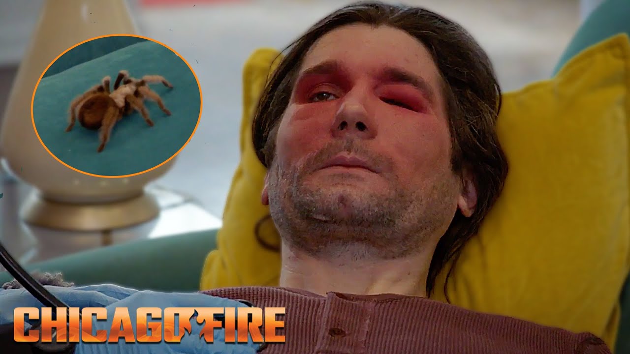 Deadly Nap-time | Chicago Fire