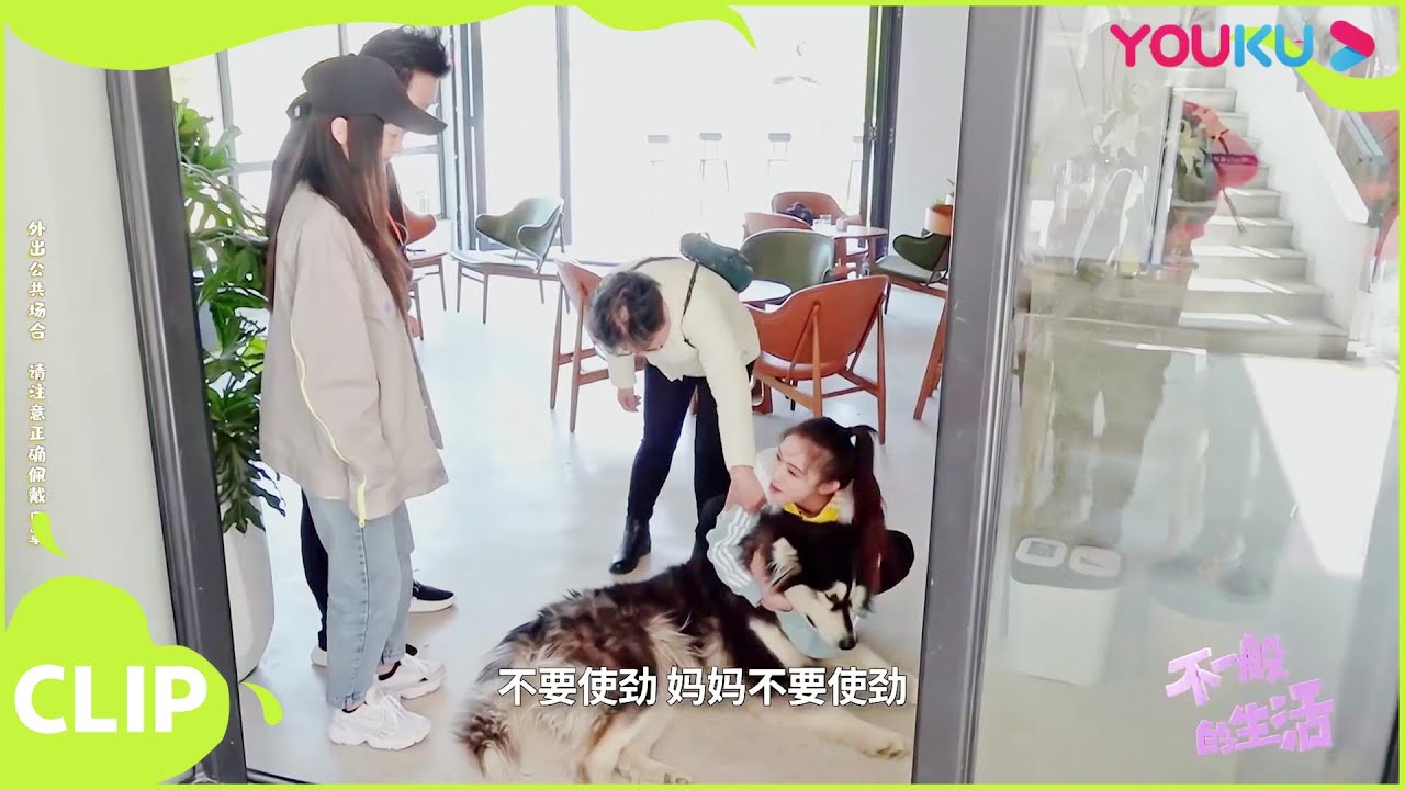 【不一般的生活】林允撸狗惹妈妈&ldquo;发飙&rdquo;，全家出游喜提超萌喵星人！| 佘诗曼/王大陆/林允/黄明昊/马思纯 | 《看我的生活》独家衍生节目 | 优酷综艺