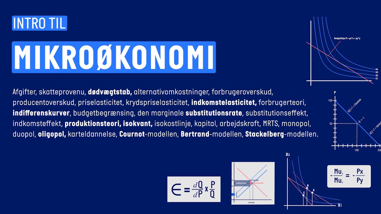 Introduktion til mikroøkonomi