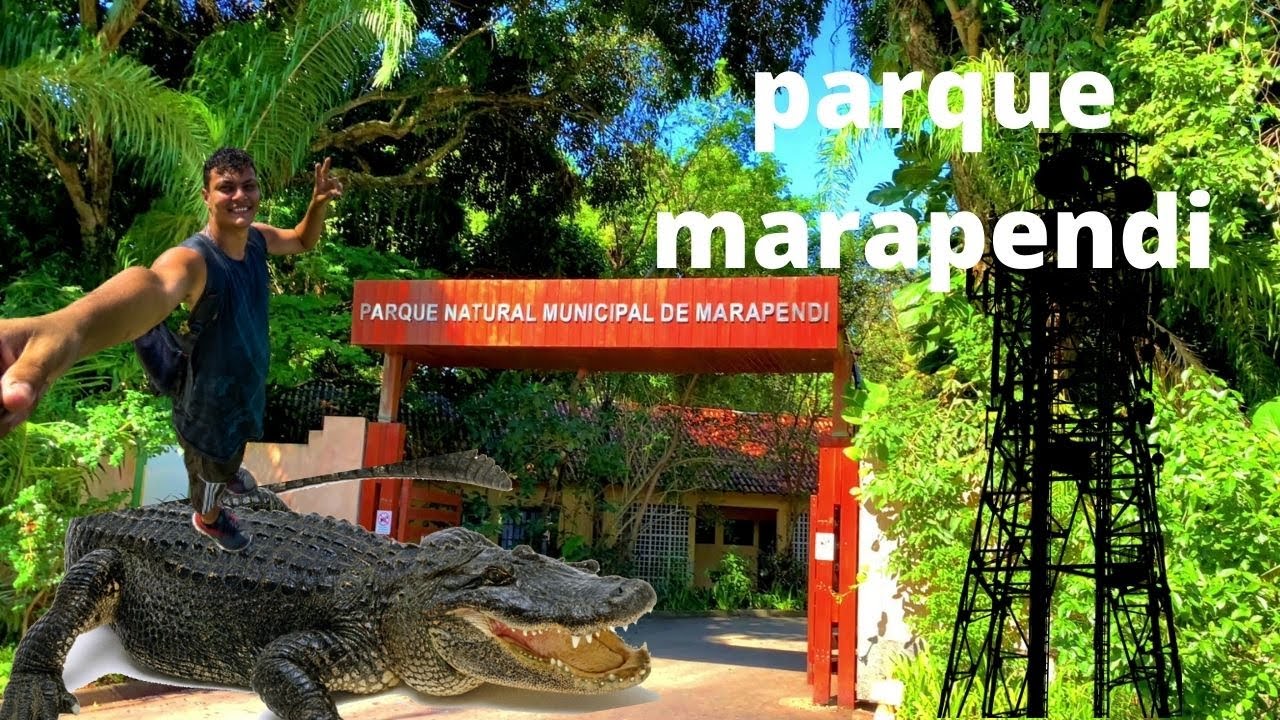 parque marapendi - o que fazer no parque municipal de marapendi