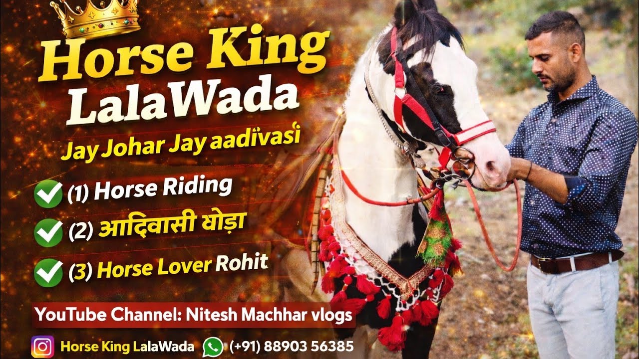 Horse dancing to the rhythm of dhol: Only in India