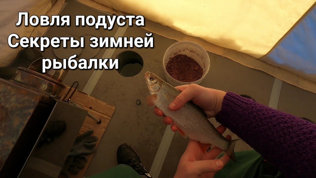 Охота на подуста с ночёвкой в -30! Секреты зимней рыбалки