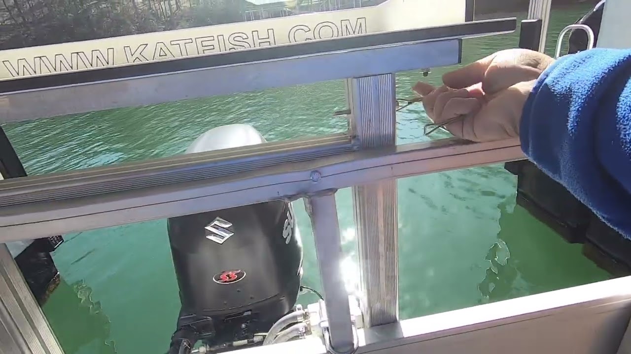 Custom Bait Board and Mount Build!