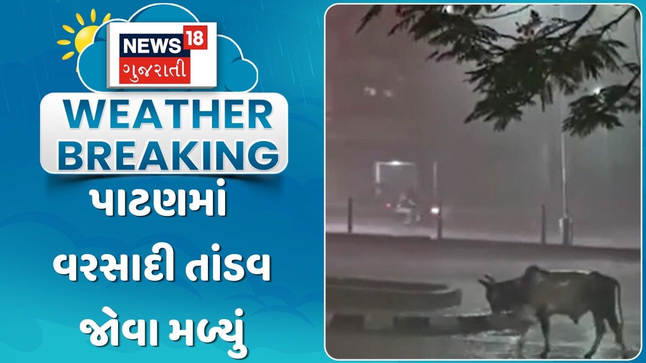 Patan Heavy Rain News | પાટણમાં વરસાદી તાંડવ જોવા મળ્યું |  Monsoon 2026 | Gujarati Samachar