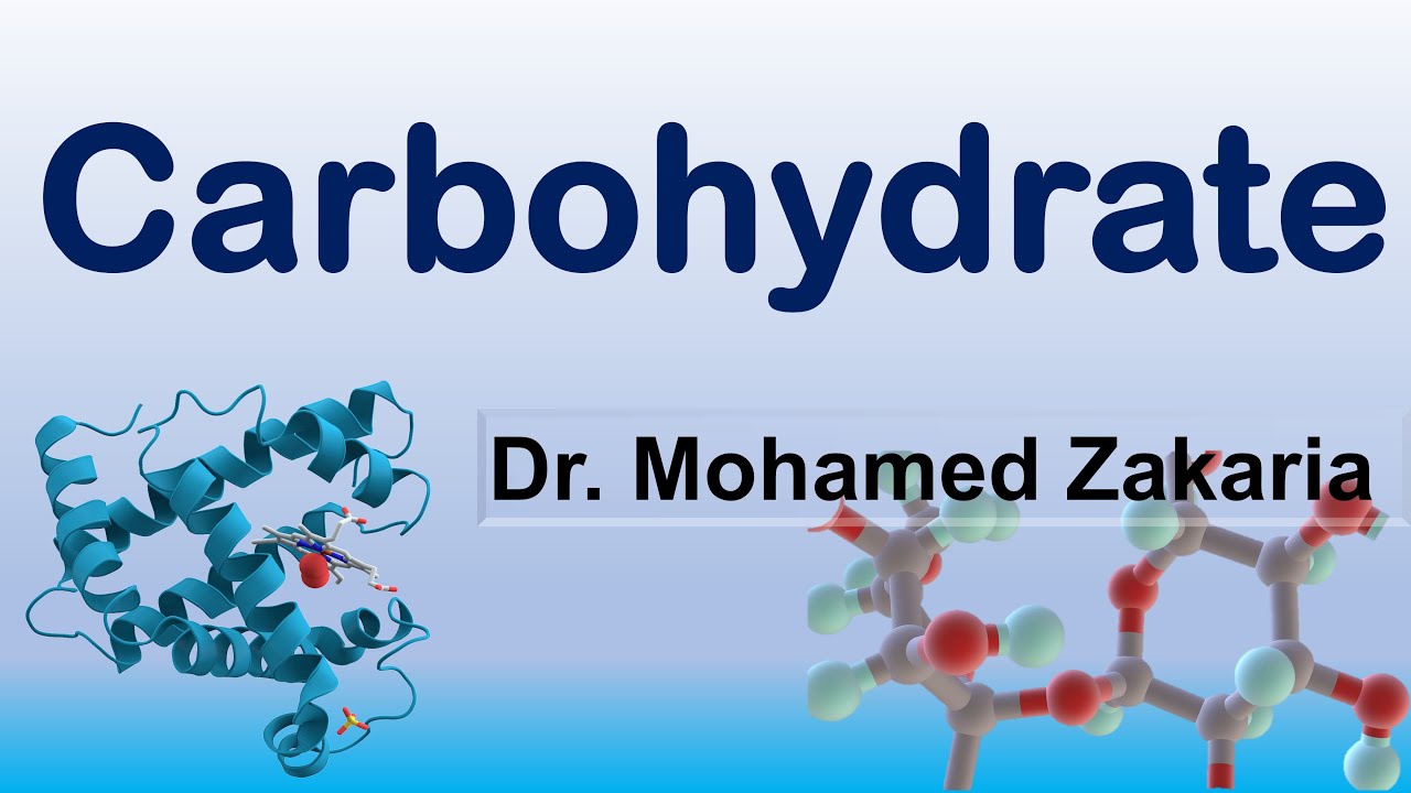 Carbohydrates 1
