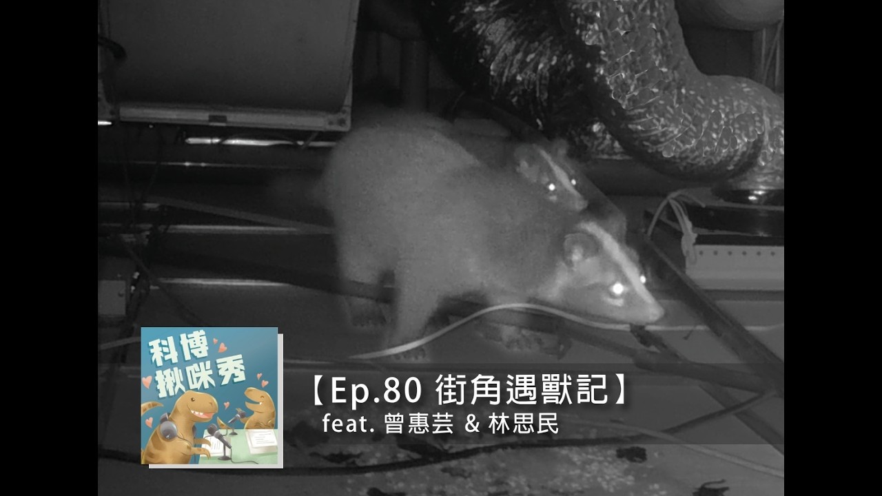 Ep.80 街角遇獸記 feat. 曾惠芸&林思民 aka 結合家庭資源與研究資源超強組合