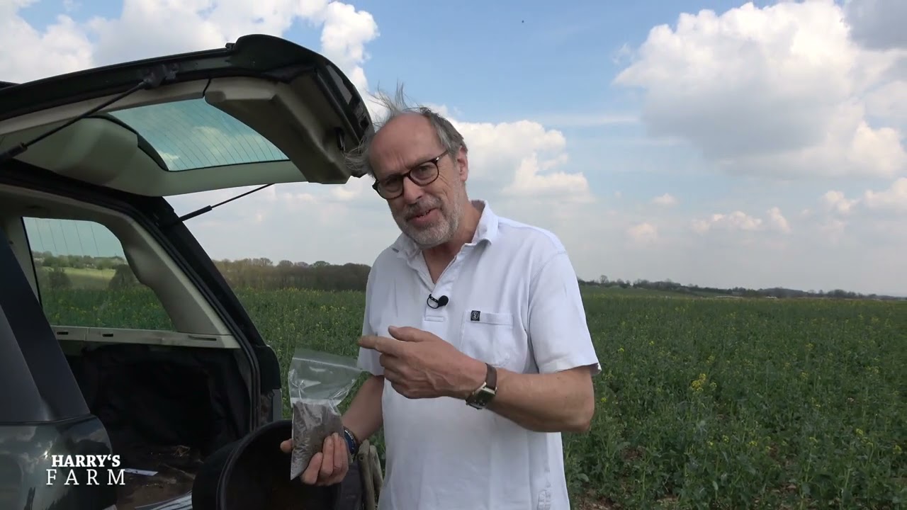 Harvest 2021 takes a big financial hit as most of the oil seed crop fails
