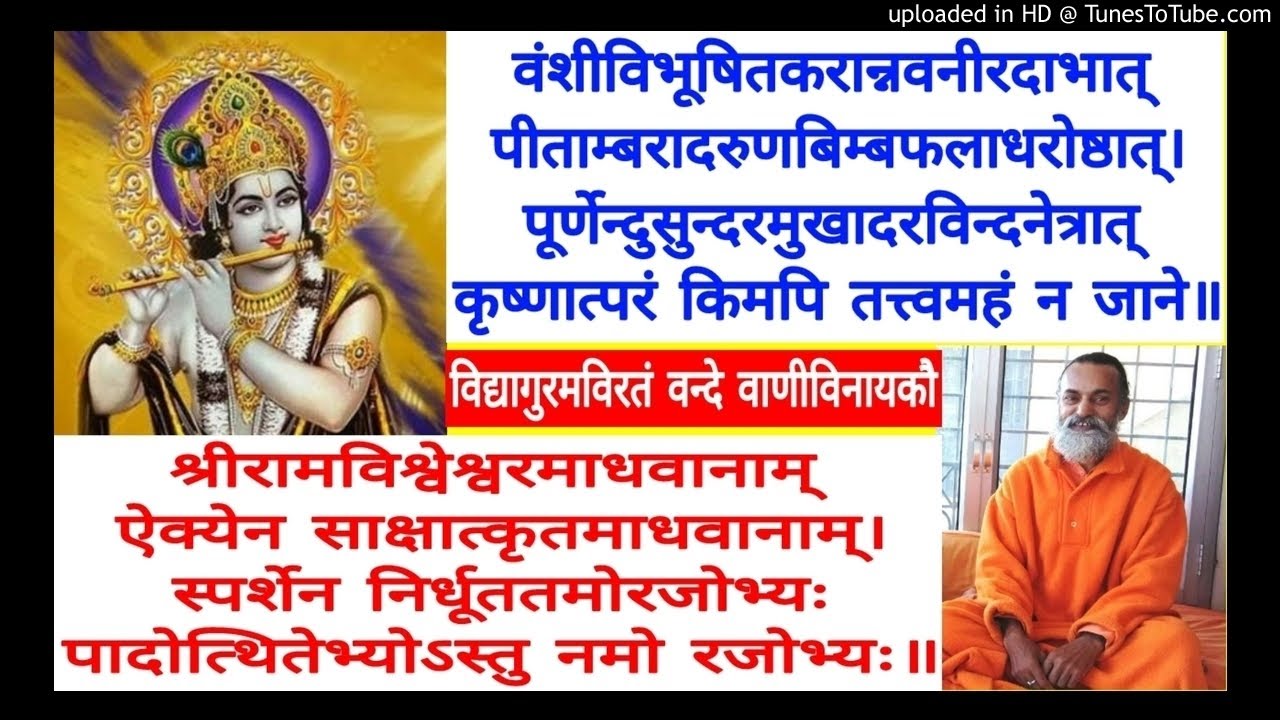 Advaita Siddhi ASI 423 Swami Shantidharmananda Saraswati