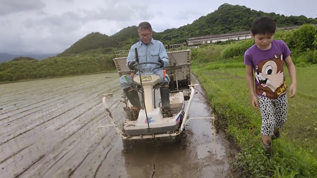 【稲作配信】田植えをしています😊小雨が降りますがちょうど良い気候です。田植機で速いですヨ✌️