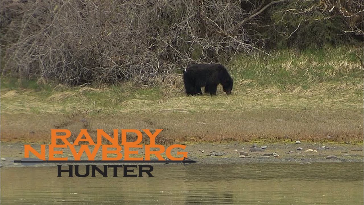 Hunting Alaska Black Bear with Randy Newberg (OYOA S4 E1)