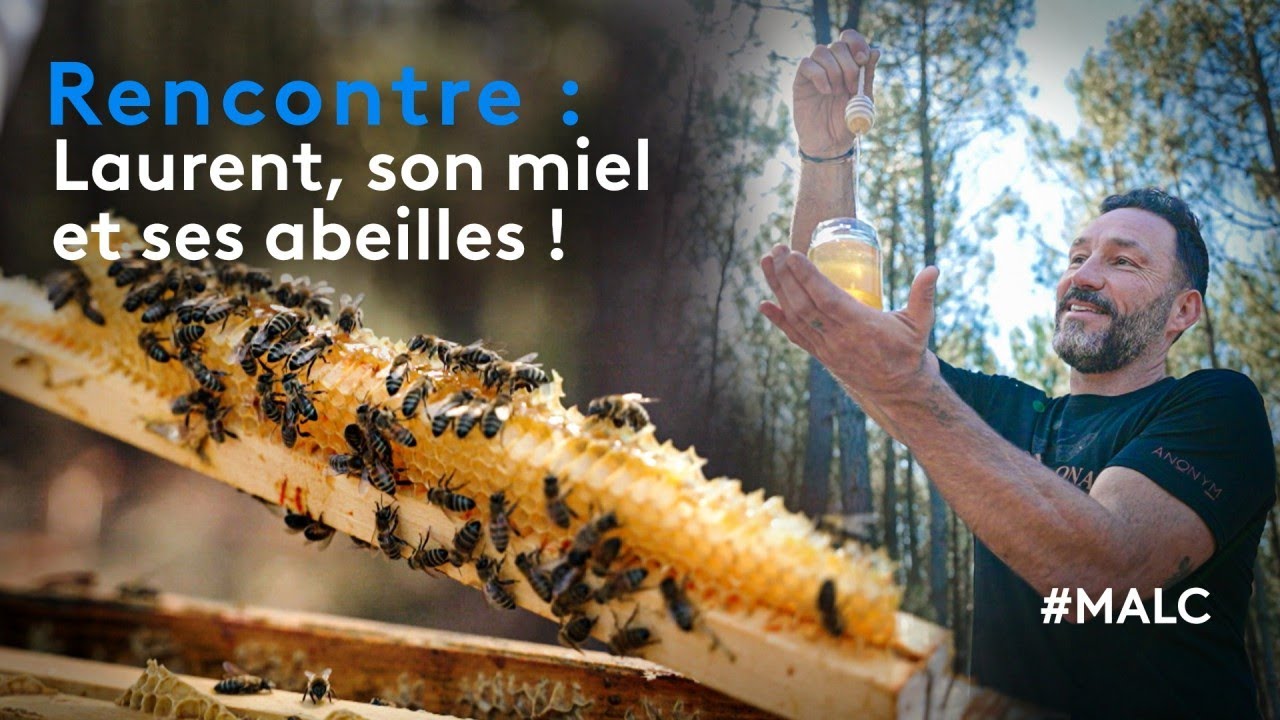 Rencontre - Laurent, son miel et ses abeilles !