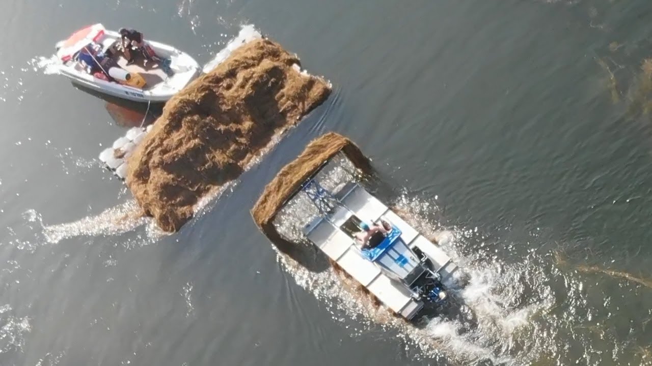 Steuergeldverschwendung 💰💰💰💸💸 auf der Alten Donau in Wien