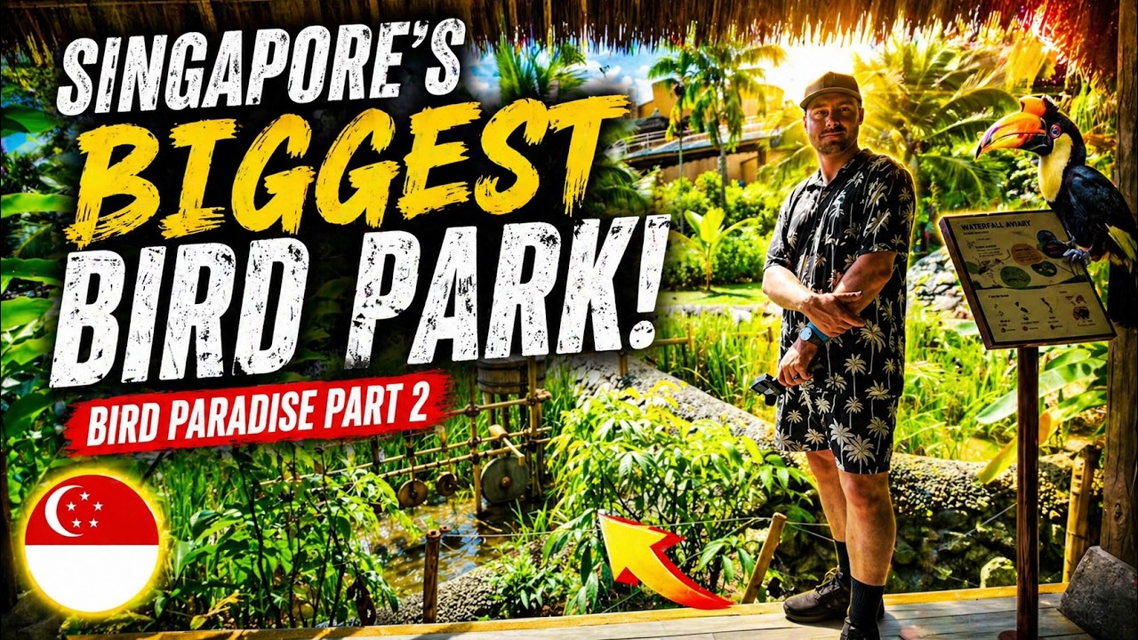 Bird Paradise Singapore Part 2 - A Day In The Largest Bird Park In Asia