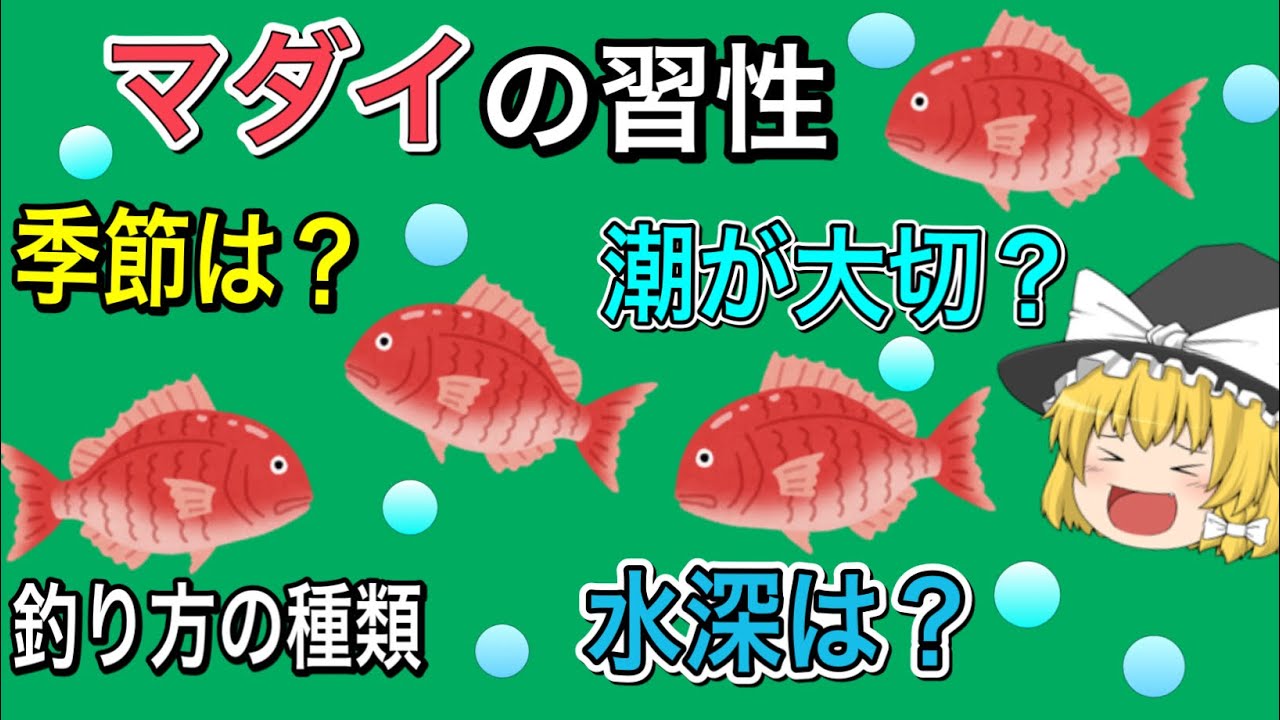 マダイの習性　ゆっくり解説