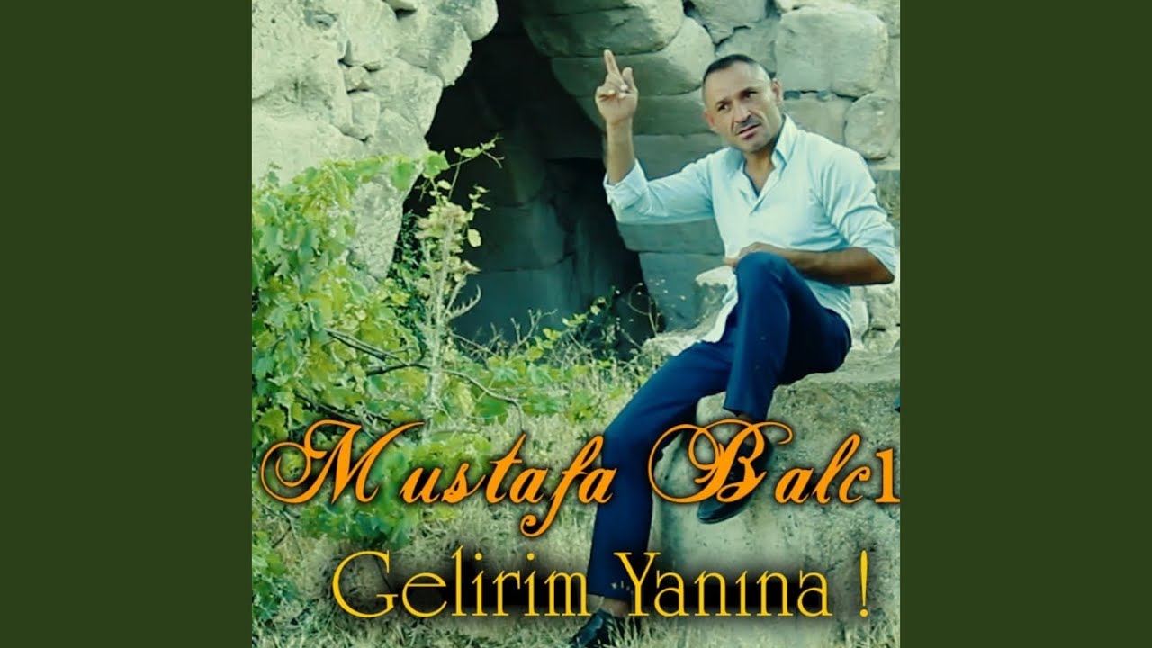 Gelirim Yanına