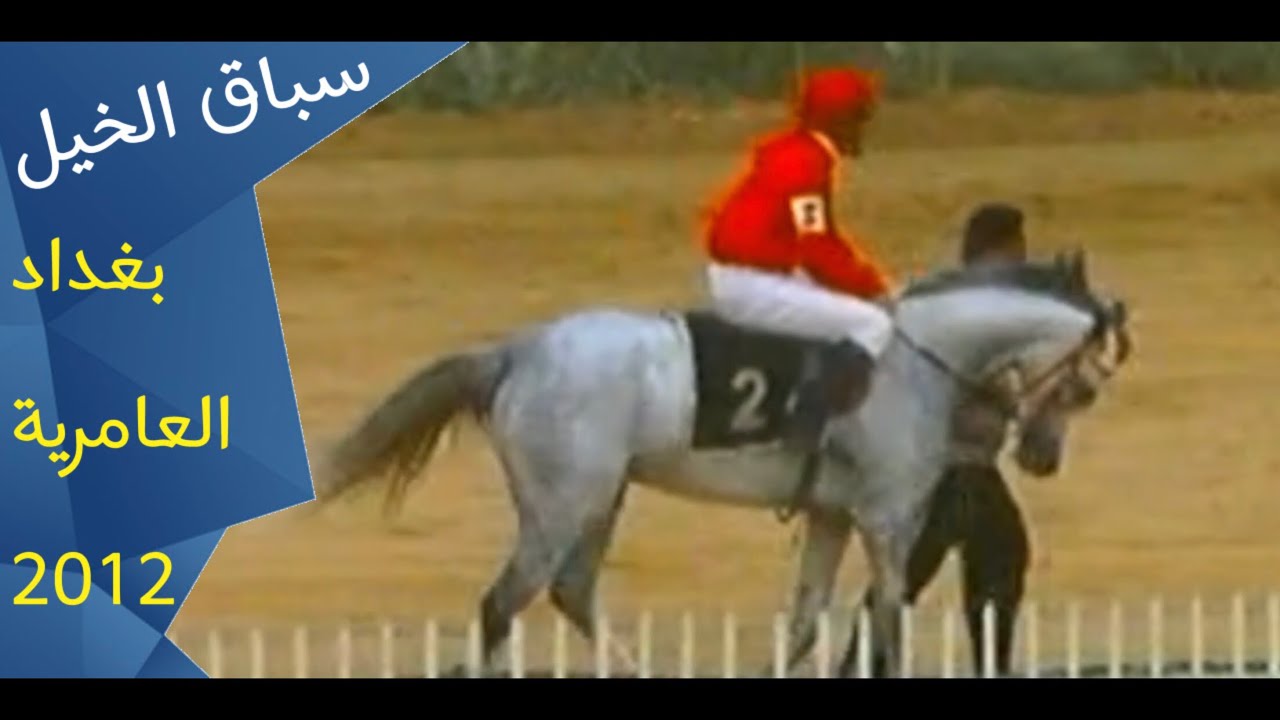 سباق الخيل || الفارس وليد رستم || نادي الفروسية العراقي 2012