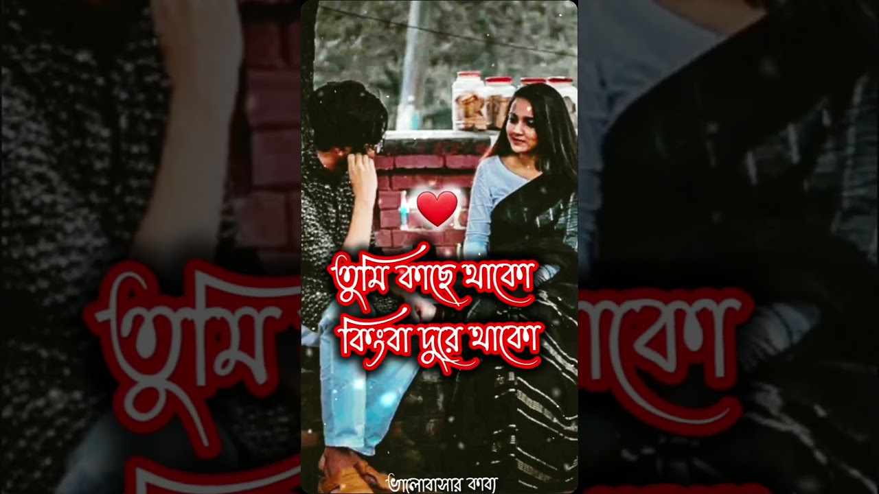 Love Status💏❤ ভালোবাসার স্ট্যাটাস❤ #love #youtubeshorts #status #shorts