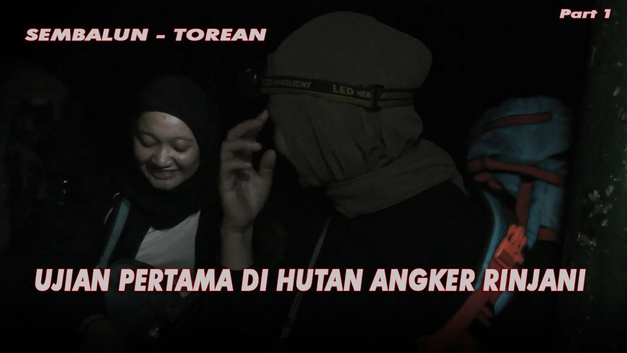 TREKING MALAM MENEMBUS HUTAN SEMBALUN YANG ANGKER | PENDAKIAN GUNUNG RINJANI SEMBALUN-TOREAN PART 1