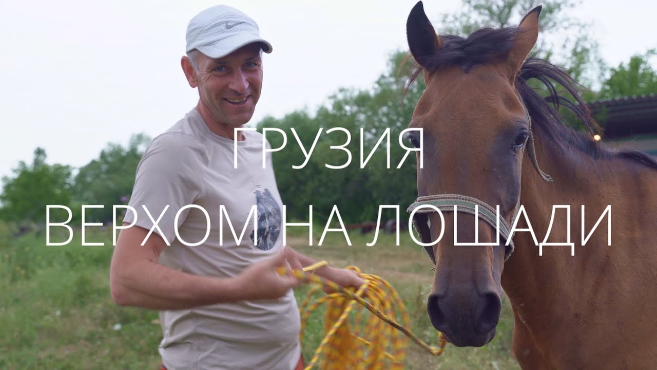 1Georgia Грузия Верхом на лошади Покупка лошади Тбилиси Марнеули Рынок лошадей Иподром Седло