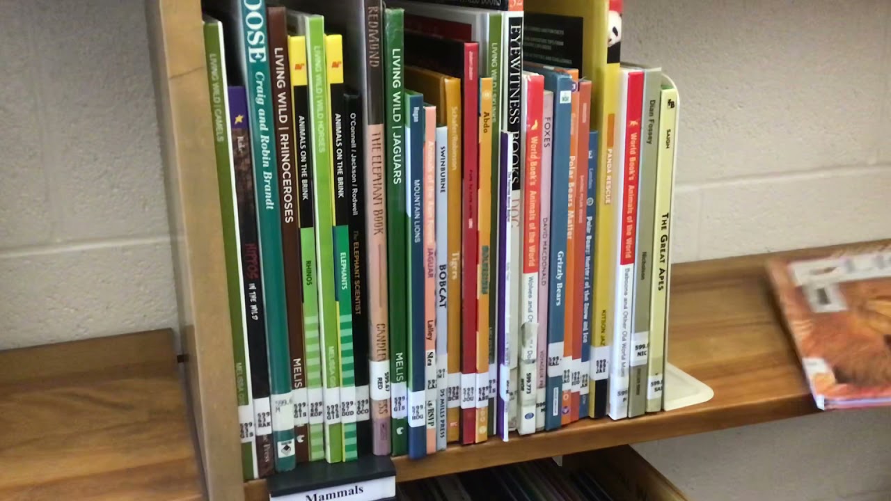 Re-shelving Non-Fiction Tips and Tricks