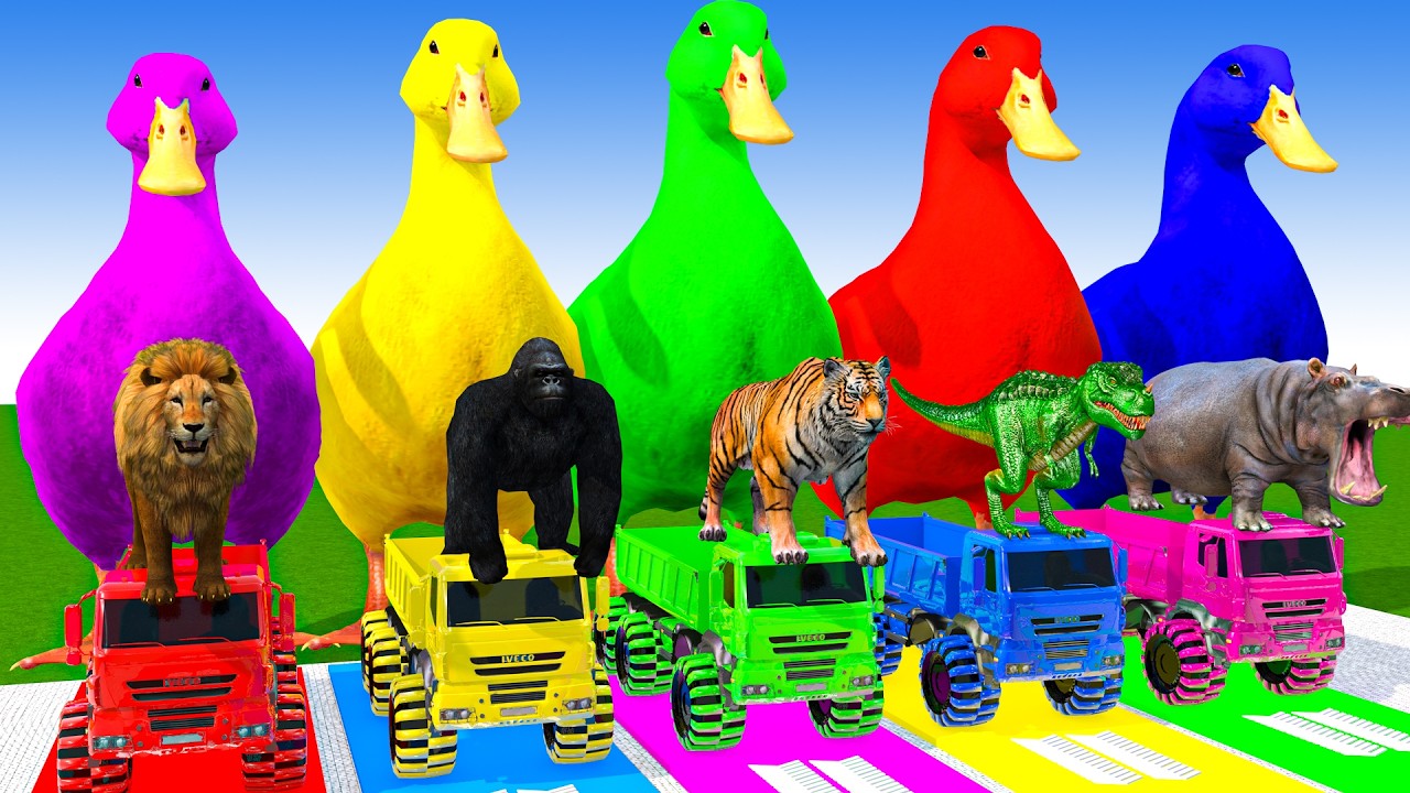 Long Slide Game With Cow Elephant Gorilla Hippopotamus Tiger 3d Animal Game Funny 3d Animals