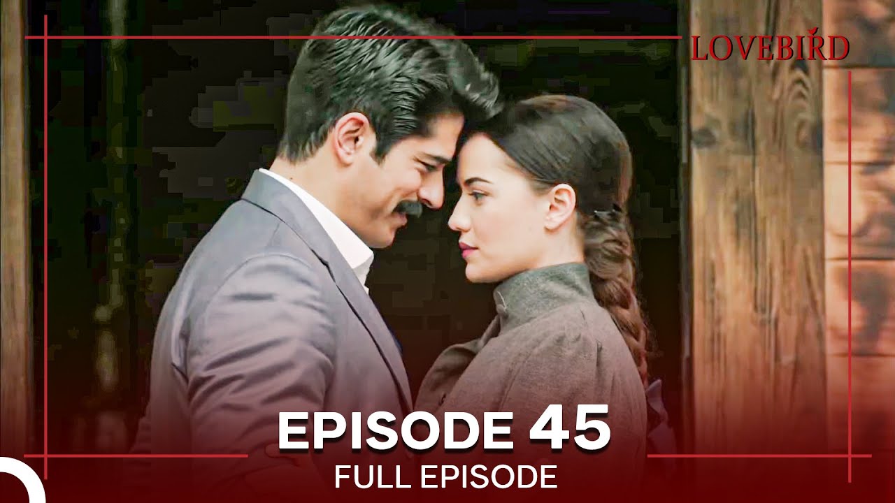 Lovebird Episode 45