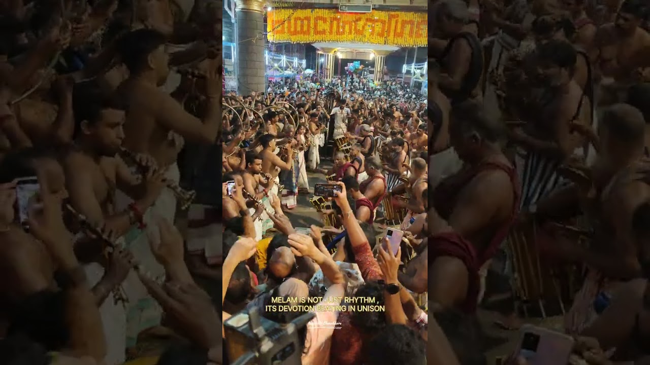 അഴകിയകാവ് ഭഗവതി ക്ഷേത്രം 🙏/പാണ്ടിമേളം ✨ ചേരാനല്ലൂർ ശങ്കരൻകുട്ടി മാരാർ 🔥#pandimelam #ulsavam #pooram 