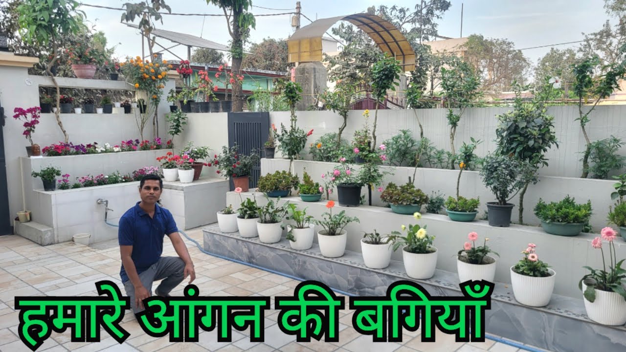 Our Courtyard Garden || Front Garden || Wall Garden 