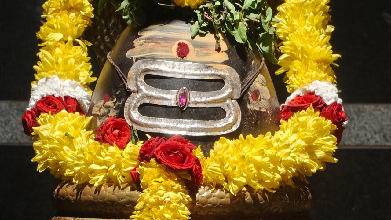Mana Sanathanam is live 14/02/2026