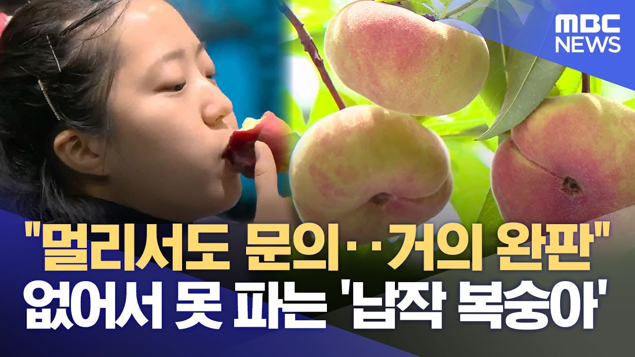 의성 '납작 복숭아' 불티‥ 가공·유통으로 활로 (2025.08.13/뉴스데스크/안동MBC)