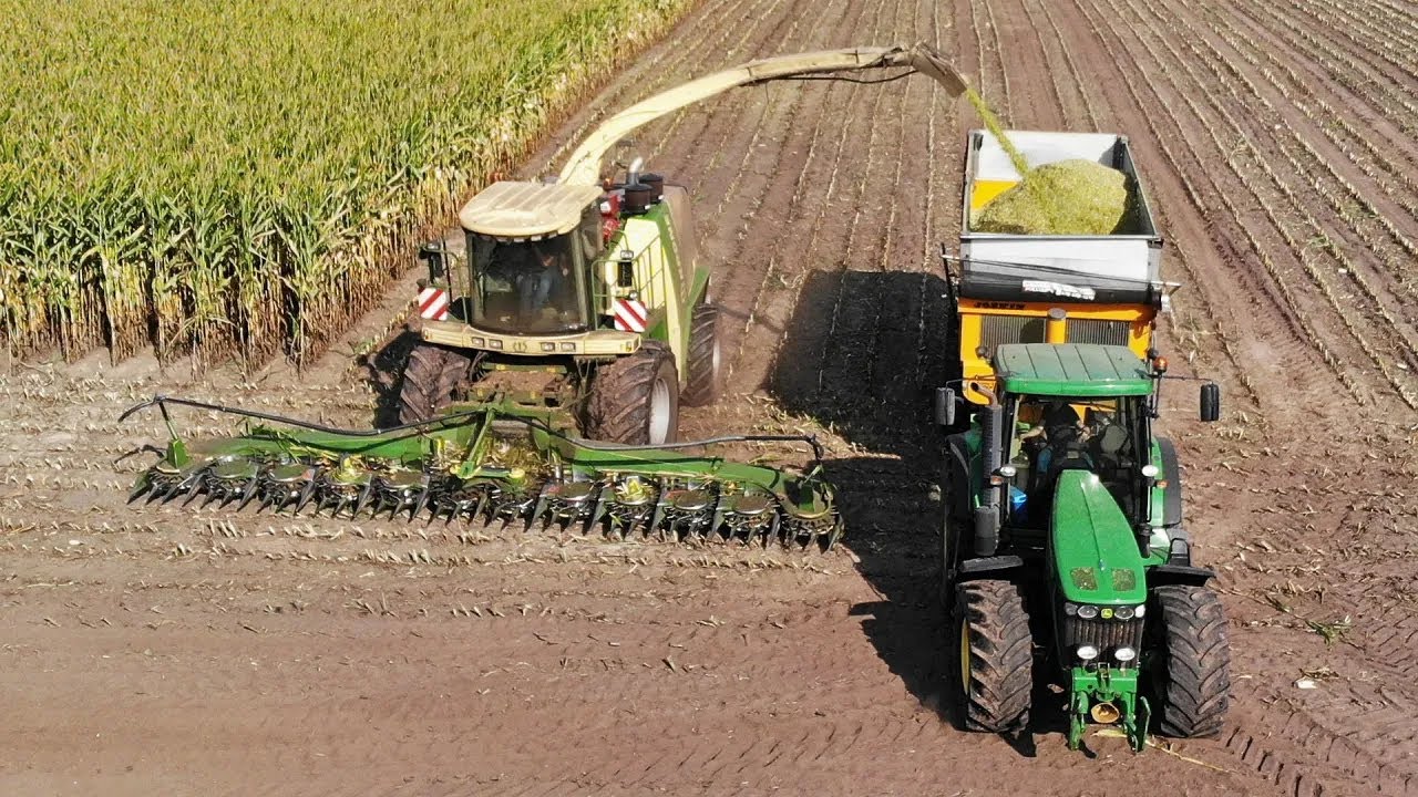 Mais Silage | Krone BiG X 650 + John Deere + Joskin | Wemekamp | 2020