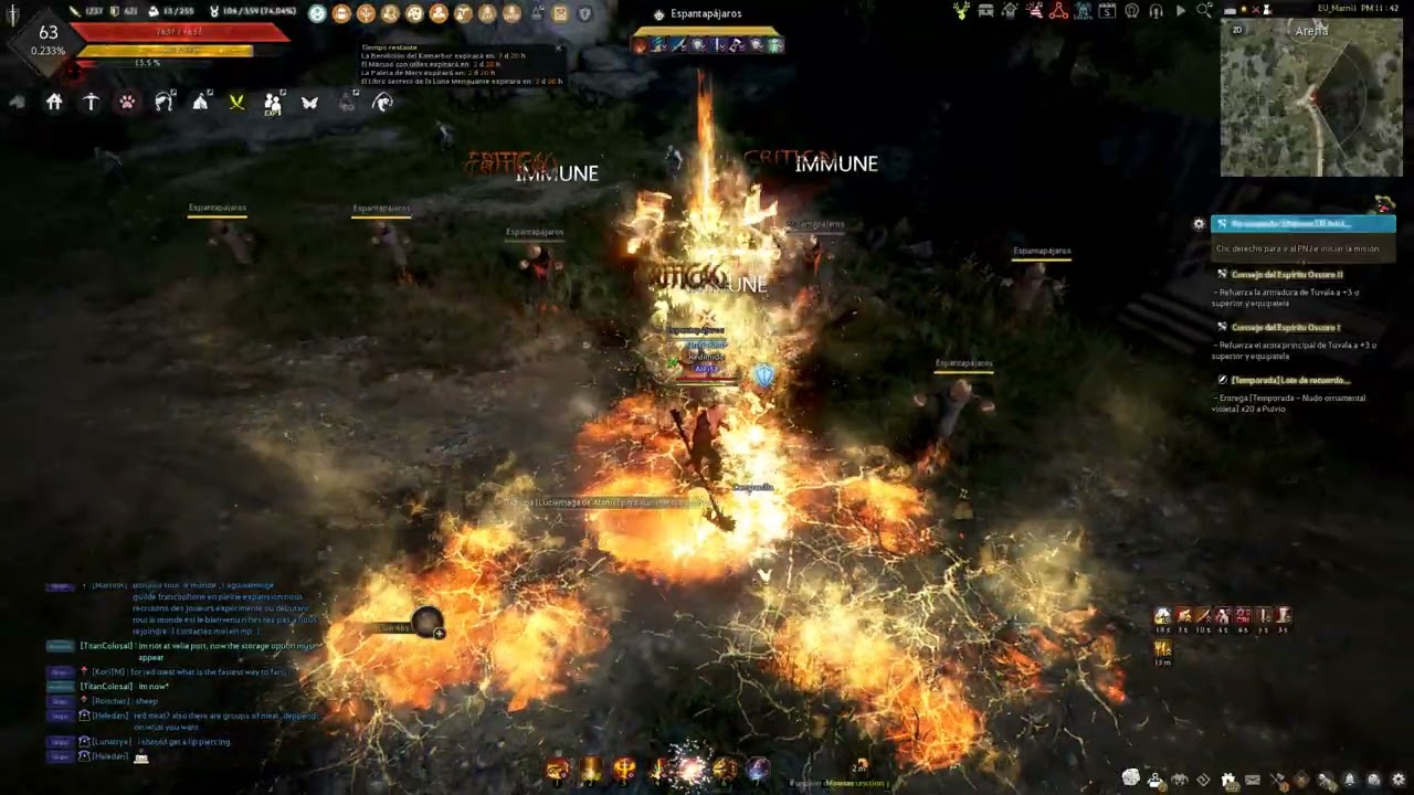 Black Desert Online : Awakening Guardian rotation