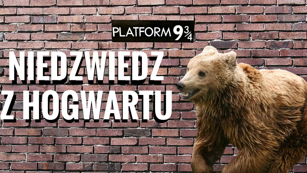 RUST IN PEACE #5 - Niedźwiedź z Hogwartu (RUST)
