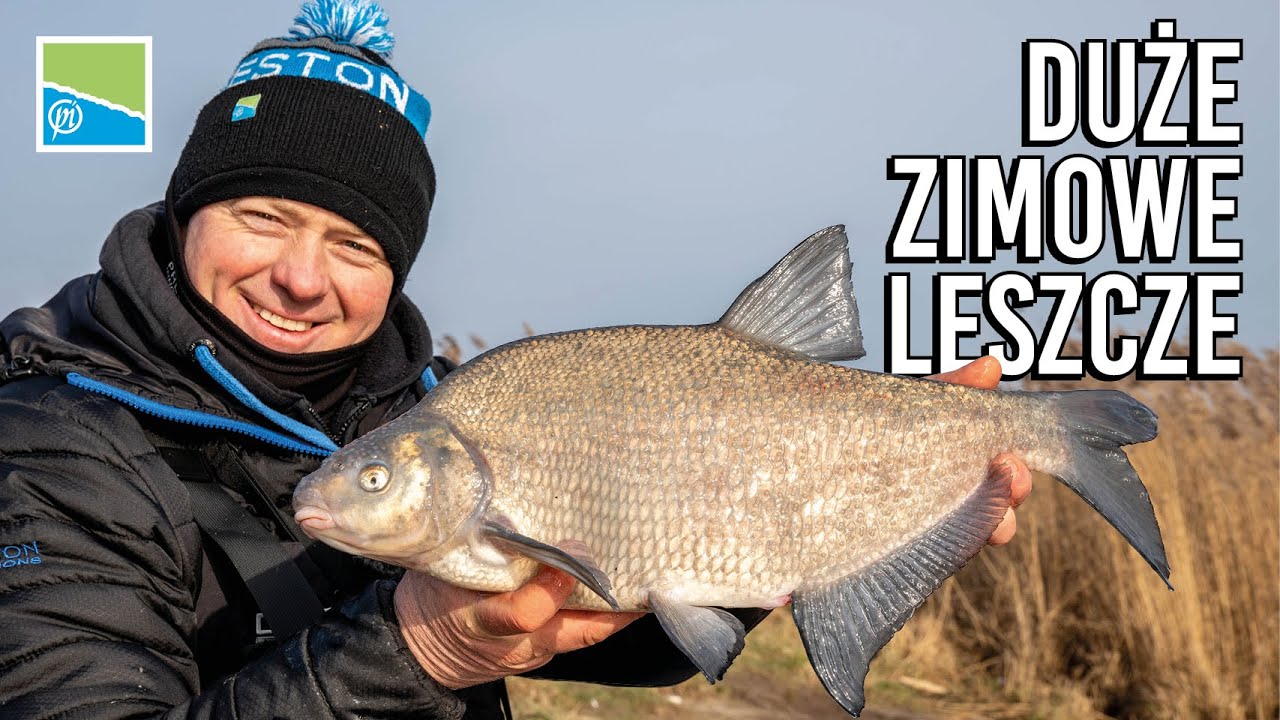 SPOSÓB NA DUŻE ZIMOWE LESZCZE | Adam Niemiec