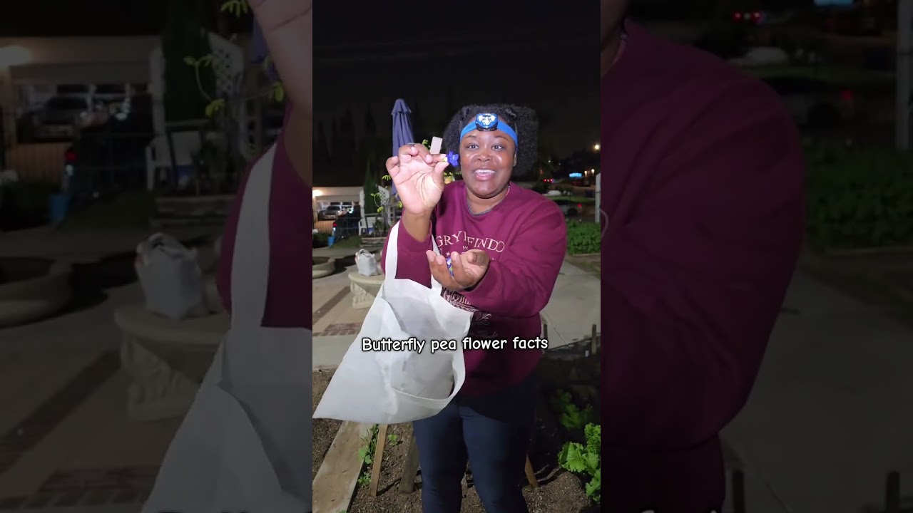 Что сейчас растет в нашем саду? Давайте узнаем, друзья! 💚