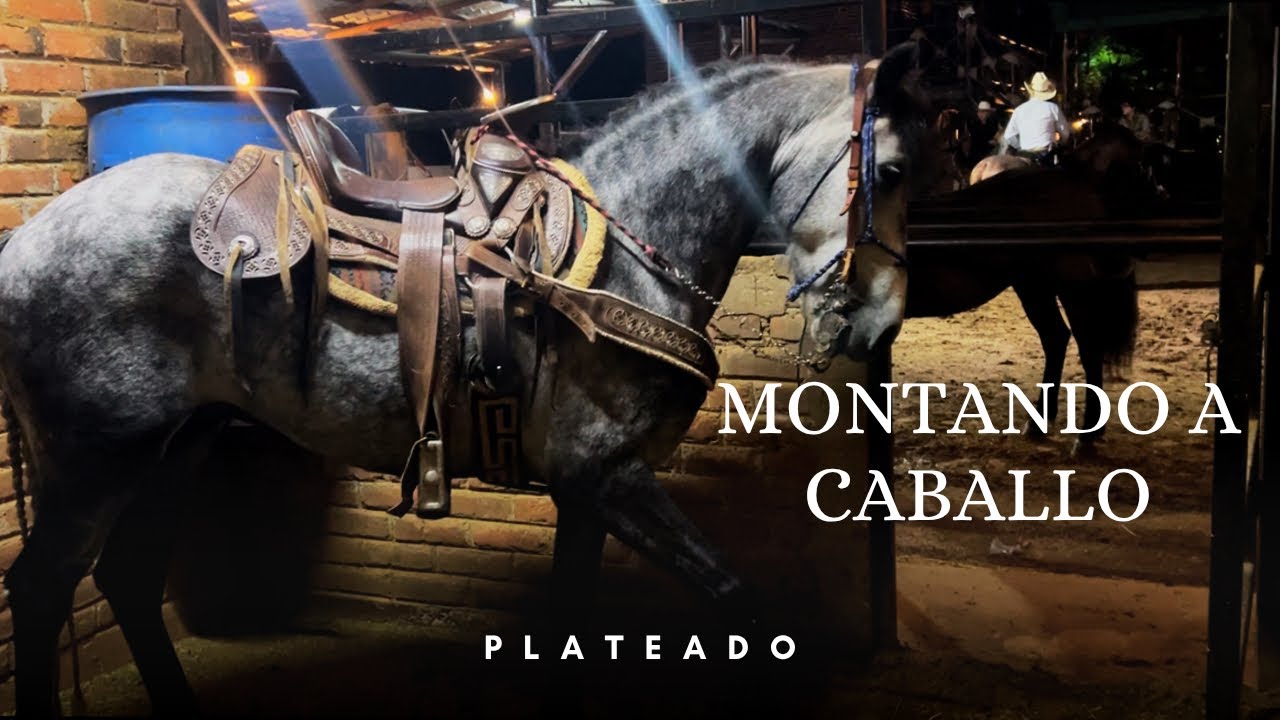 DISFRUTANDO DE LO FRESCO DE LA LLUVIA A CABALLO 🌧️🐴/Los Arrieros\