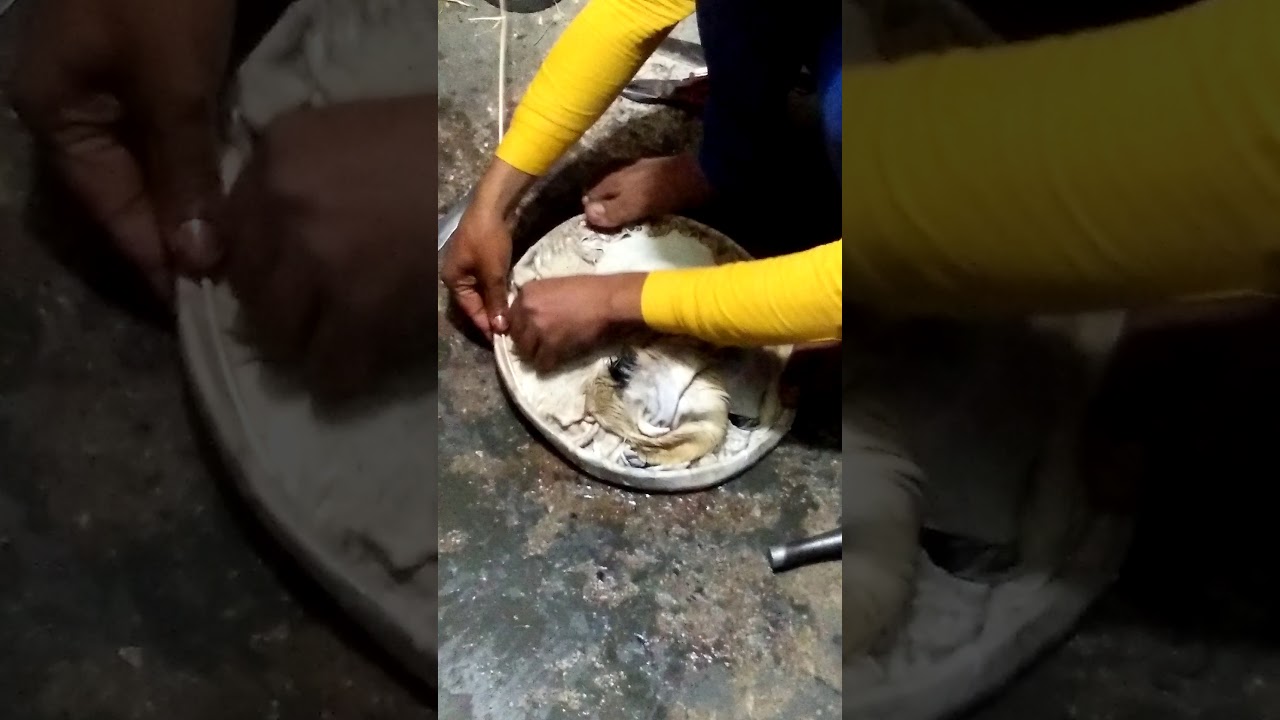 MAKING A DHOLAK TABLA DHOL SKIN IN 5 MIN 9212273556
