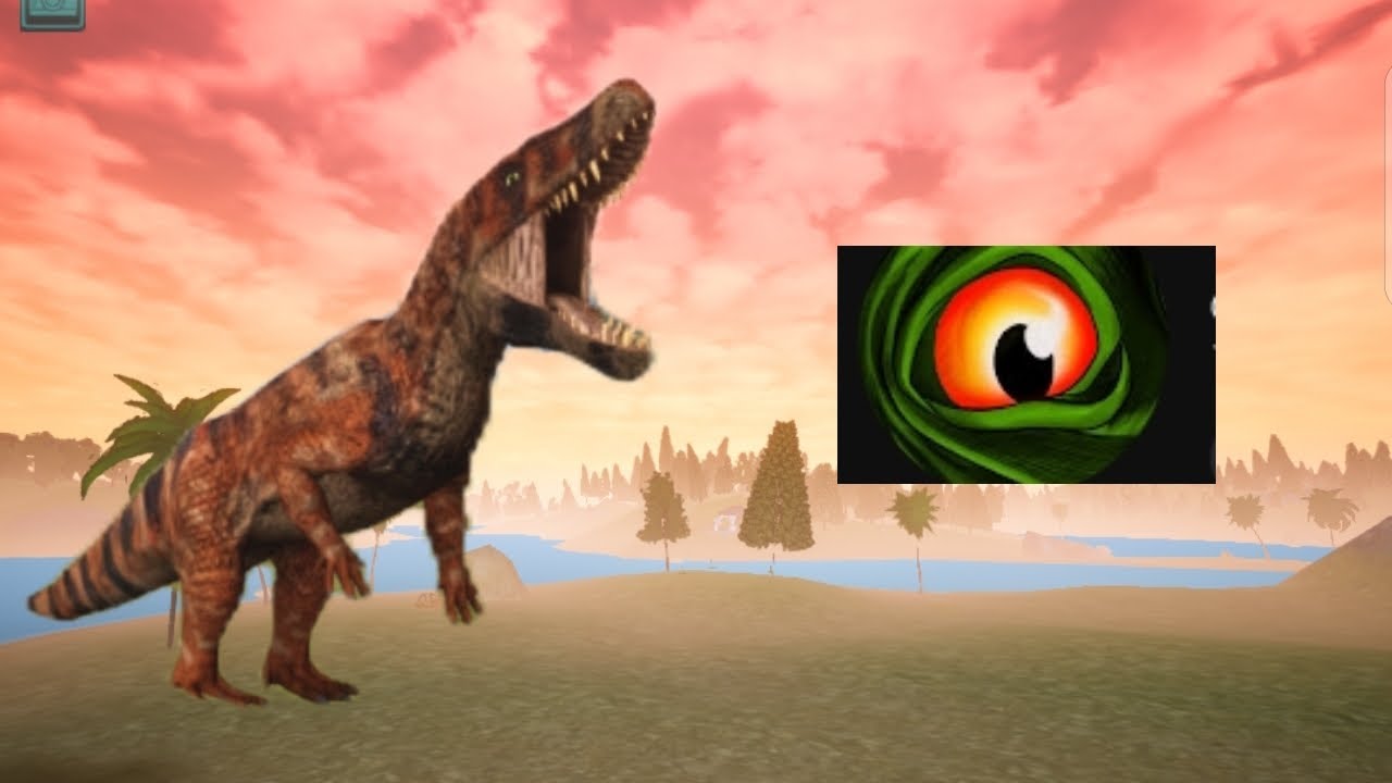 Fasasolluchus funny moments