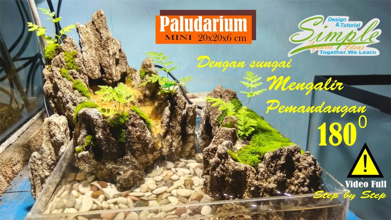 Step by step low budget nano paludarium dengan sungai mengalir | Aqua terrarium #11