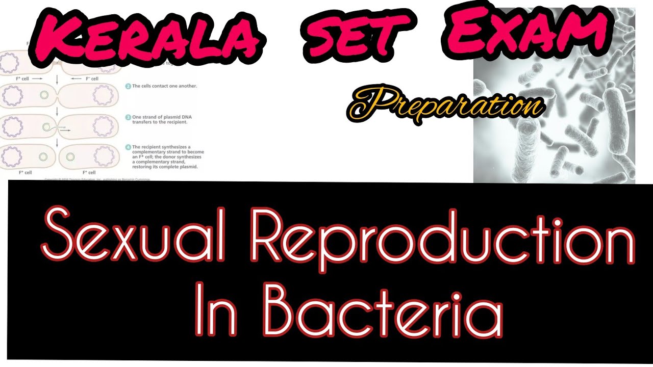 Sexual reproduction in Bacteria| Kerala set - botany preparation| august 2021