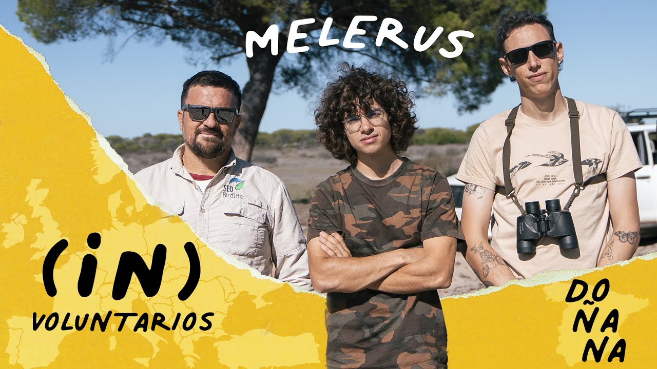 VOLUNTARIADO EUROPEO en DOÑANA con MELERUS | (IN)Voluntarios