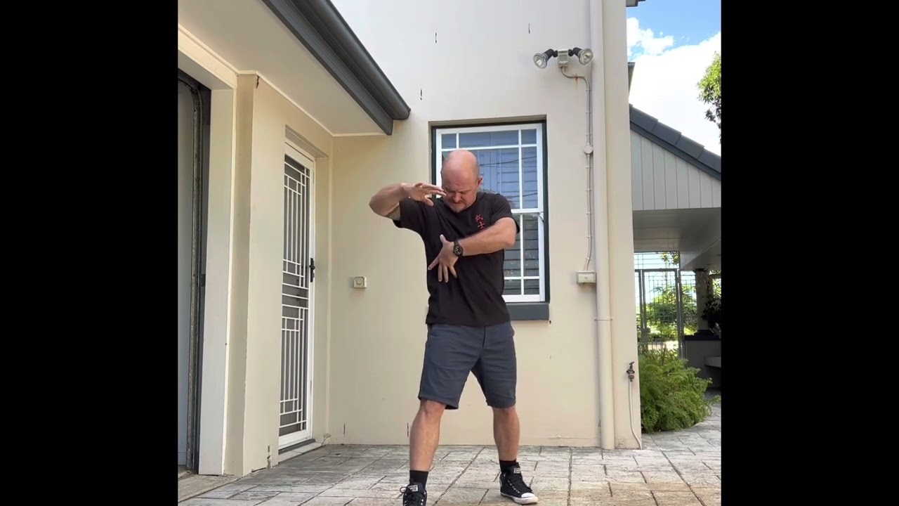 @two_swords_dojo Mantis Qi Gong 18 Dark bridge hands-Sup Baat Ng Geng Sau