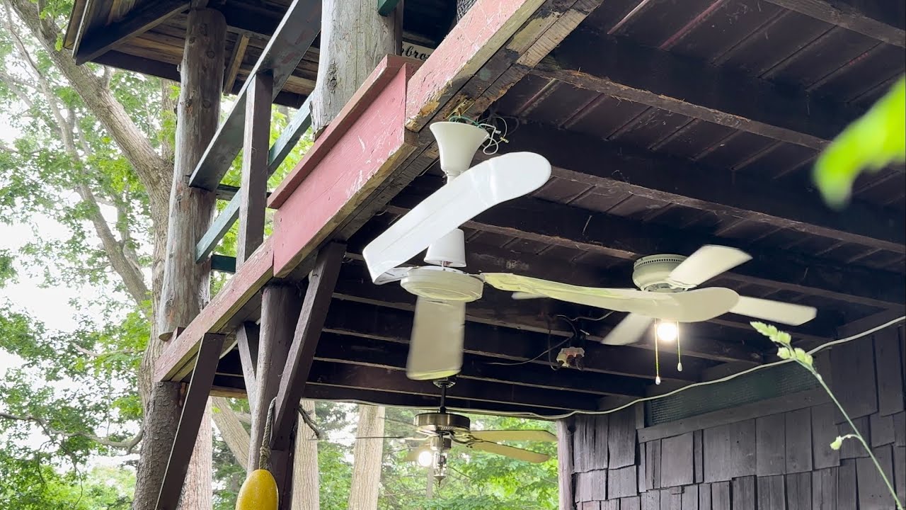 Ceiling Fan Destruction #70