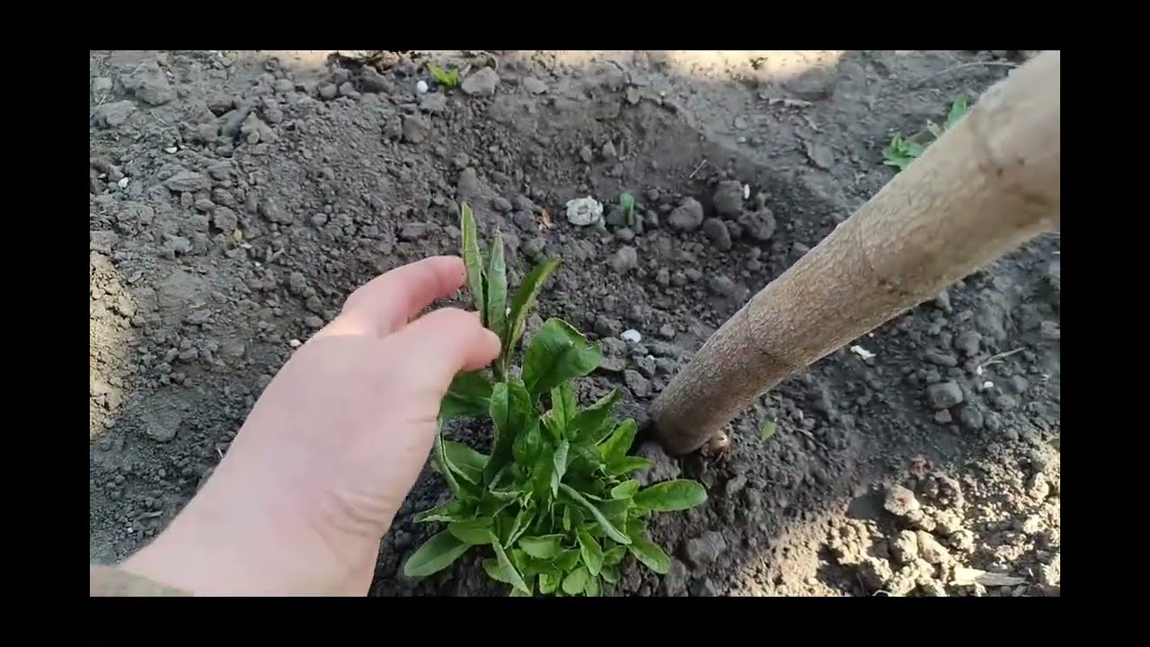 Погоду не обдуриш. Вона керує нами та нашими врожаями