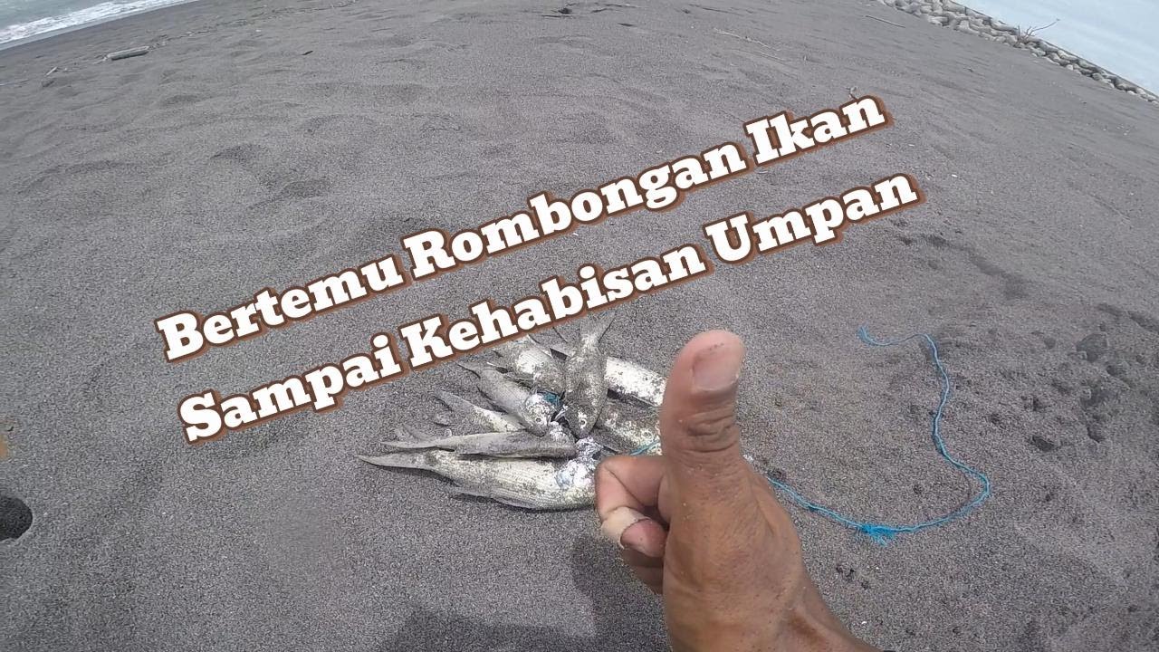 mancing pasiran bertemu gerombolan ikan kuro part#1