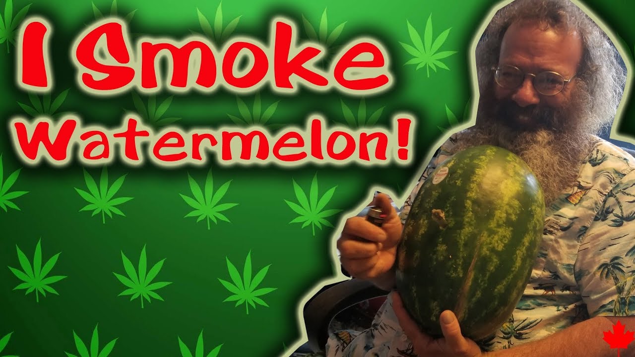 A Watermelon Bong! And a Great Pot Strain - Watermelon