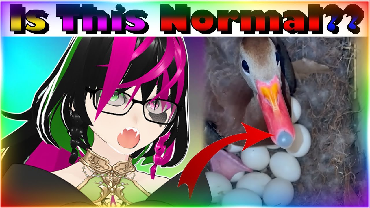 Is This Normal??? | Daily Dose Reaction | Vtuber Reacts