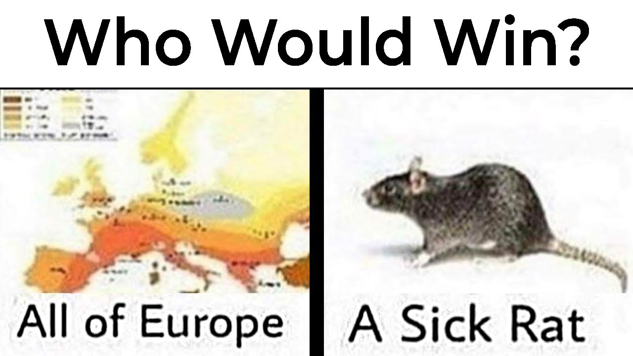 Geography Memes